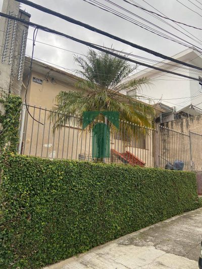 Terreno, 250 m² - Foto 4