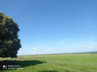 Fazenda, 10000 m² - Foto 4