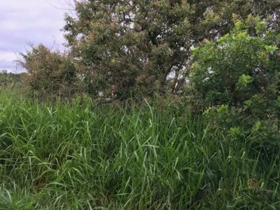Terreno, 3200 m² - Foto 2
