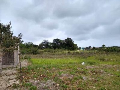 Terreno, 543 m² - Foto 4