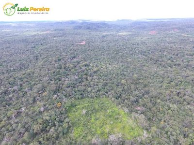 Terreno, 9000 m² - Foto 4