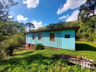 Chácara, 16 hectares - Foto 3