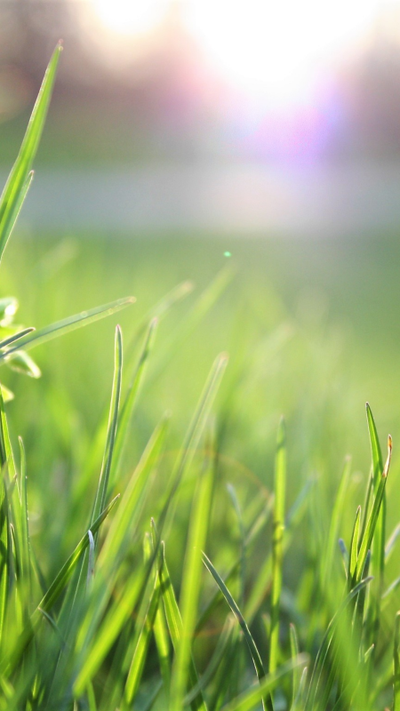 Terreno, 210 m² - Foto 4