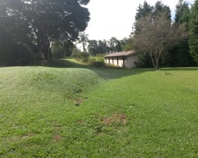 Casa, 7 quartos, 1500 m² - Foto 5