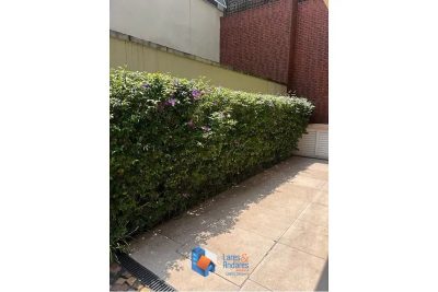 Casa, 4 quartos, 320 m² - Foto 3