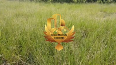Terreno, 300 m² - Foto 5