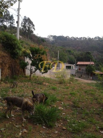 Terreno, 274 m² - Foto 3