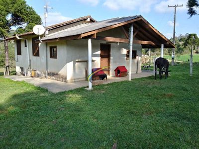 Chácara, 3 quartos - Foto 5
