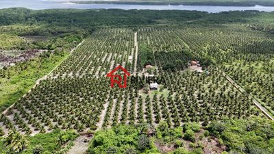 Terreno, 16 hectares - Foto 1