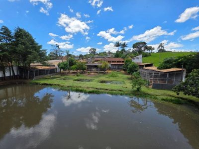Chácara, 3 quartos, 4000 m² - Foto 3