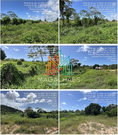 Terreno, 3 hectares - Foto 2