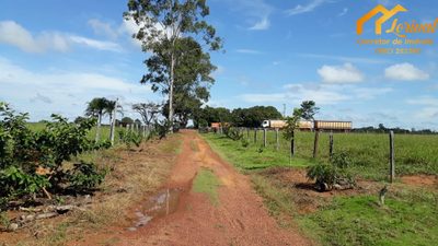 Fazenda, 247 hectares - Foto 3