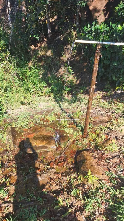 Terreno, 7 hectares - Foto 3