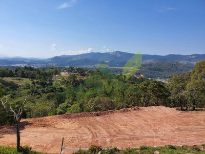 Terreno, 2 hectares - Foto 3