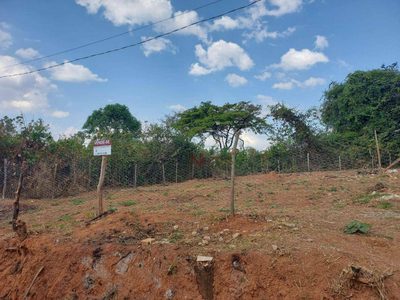 Terreno, 300 m² - Foto 3