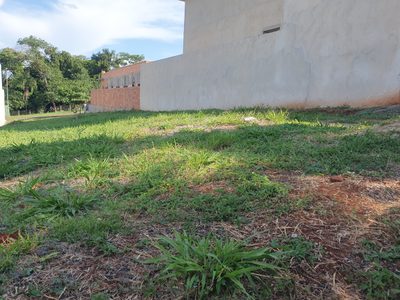 Terreno, 250 m² - Foto 3