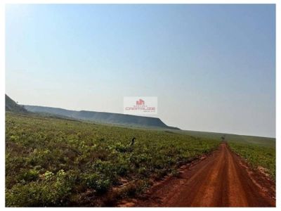 Fazenda, 2 hectares - Foto 1