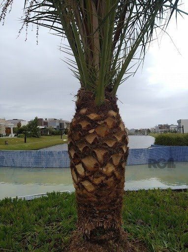 Casa de Condomínio, 5 quartos - Foto 5