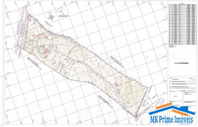 Terreno, 8 hectares - Foto 2