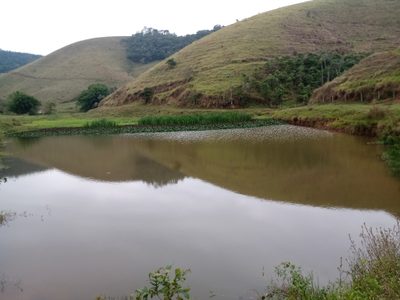 Fazenda, 10000 m² - Foto 5