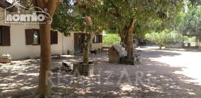 Casa, 3 quartos, 220 m² - Foto 3