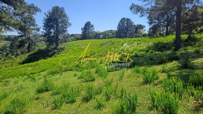 Chácara, 2 quartos, 16 hectares - Foto 4