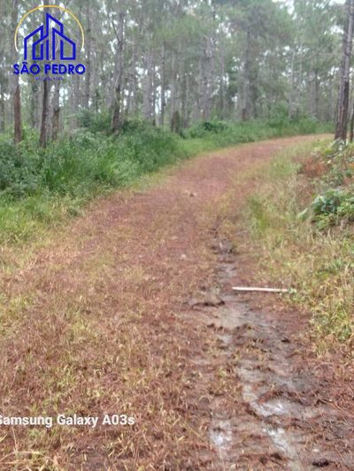 Terreno - Foto 4