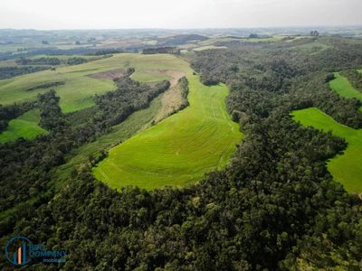 Terreno, 19 hectares - Foto 4