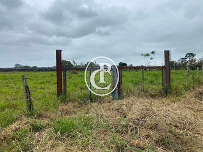 Terreno, 2 hectares - Foto 2