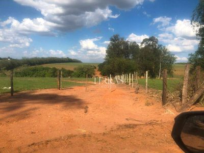 Terreno, 26 hectares - Foto 4