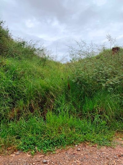 Terreno, 1666 m² - Foto 3