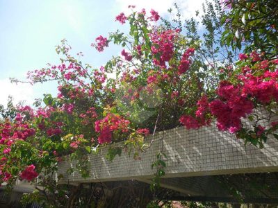 Casa, 4 quartos, 374 m² - Foto 4