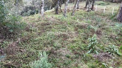 Terreno, 1030 m² - Foto 3