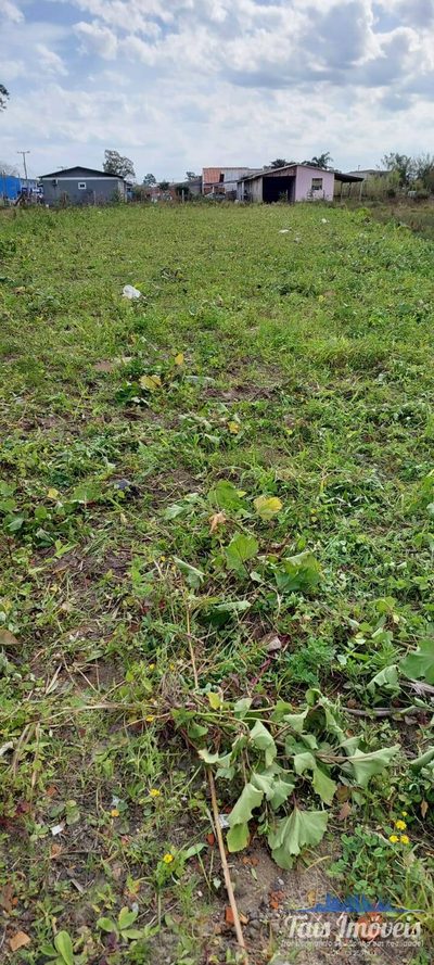 Terreno - Foto 3