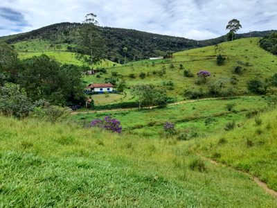Terreno, 10000 m² - Foto 3