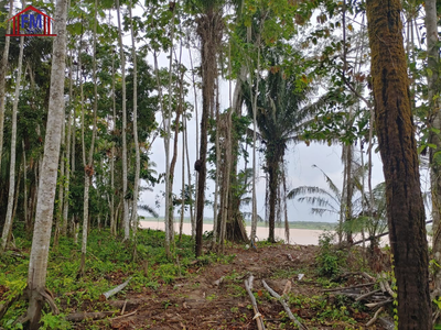 Fazenda - Foto 3