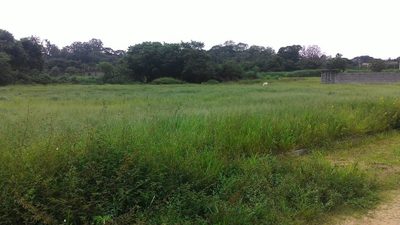 Terreno, 340 m² - Foto 2
