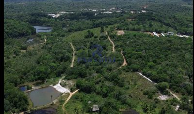 Terreno, 30 hectares - Foto 1