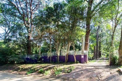 Chácara, 1 quarto, 3000 m² - Foto 2