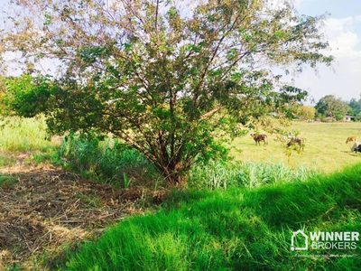 Terreno, 360 m² - Foto 3