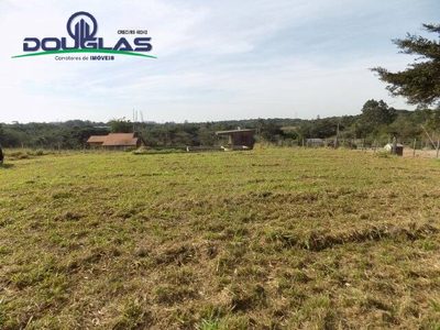 Terreno, 5000 m² - Foto 3