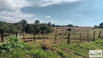 Terreno, 5000 m² - Foto 3
