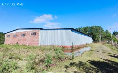 Depósito-Galpão, 2300 m² - Foto 2