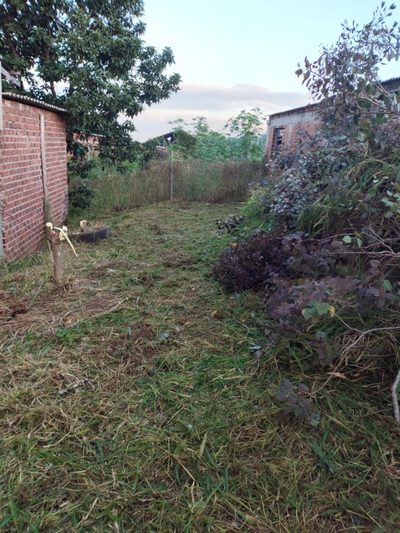 Terreno, 130 m² - Foto 3