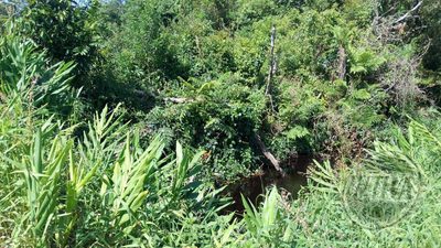 Terreno, 420 m² - Foto 5