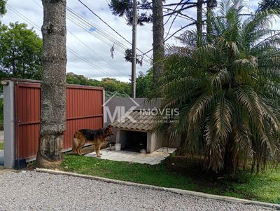 Casa, 4 quartos, 200 m² - Foto 5