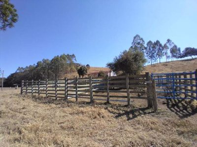 Sítio, 4 quartos, 100 m² - Foto 3