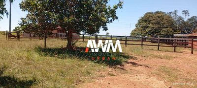 Fazenda, 992 hectares - Foto 3