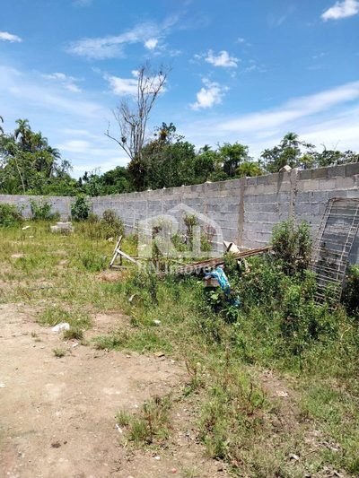 Terreno, 300 m² - Foto 3