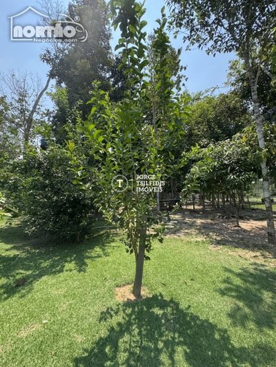 Casa, 800 m² - Foto 3